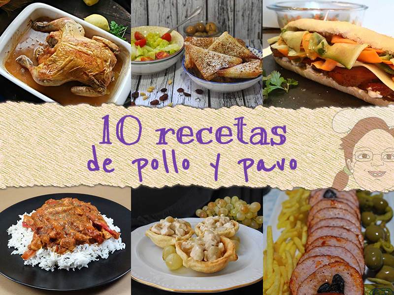 10 recetas de pollo y pavo