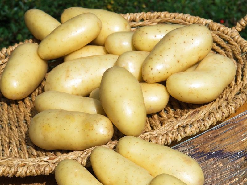 Bondades de la patata 03